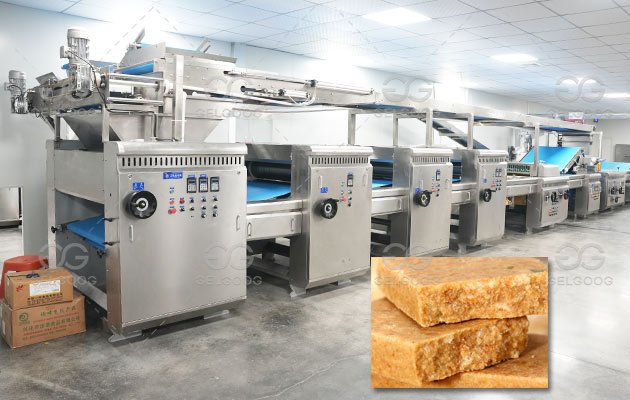 Compressed Biscuit Making Machine Factory - GELGOOG