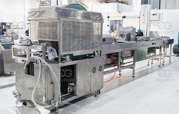 Kuwait Spring Roll Production Line Successfully Delivery