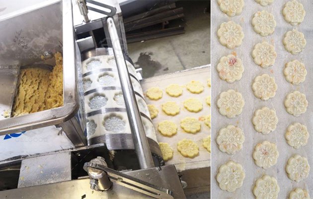 Small biscuit making machine for business