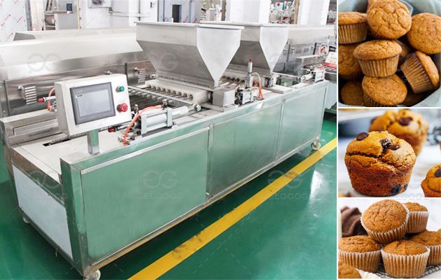 Muffin Forming Machine in Factory