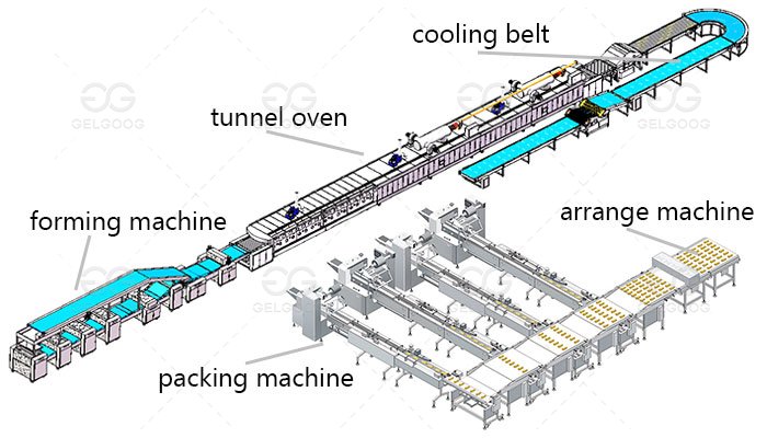 Biscuit Machine Manufacturer