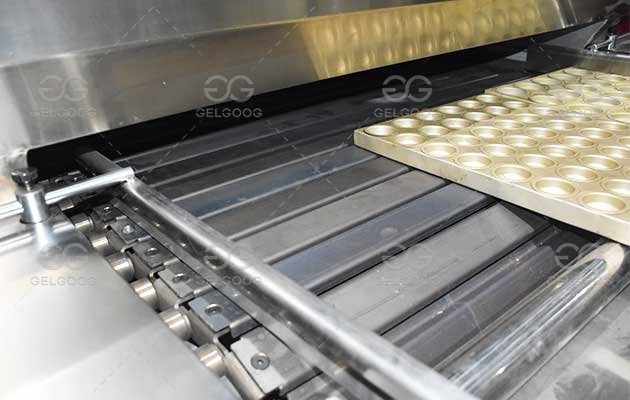 Biscuit Baking Oven with Chain Conveyor Belt