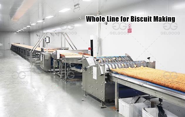 Automatic Biscuit Making Machine